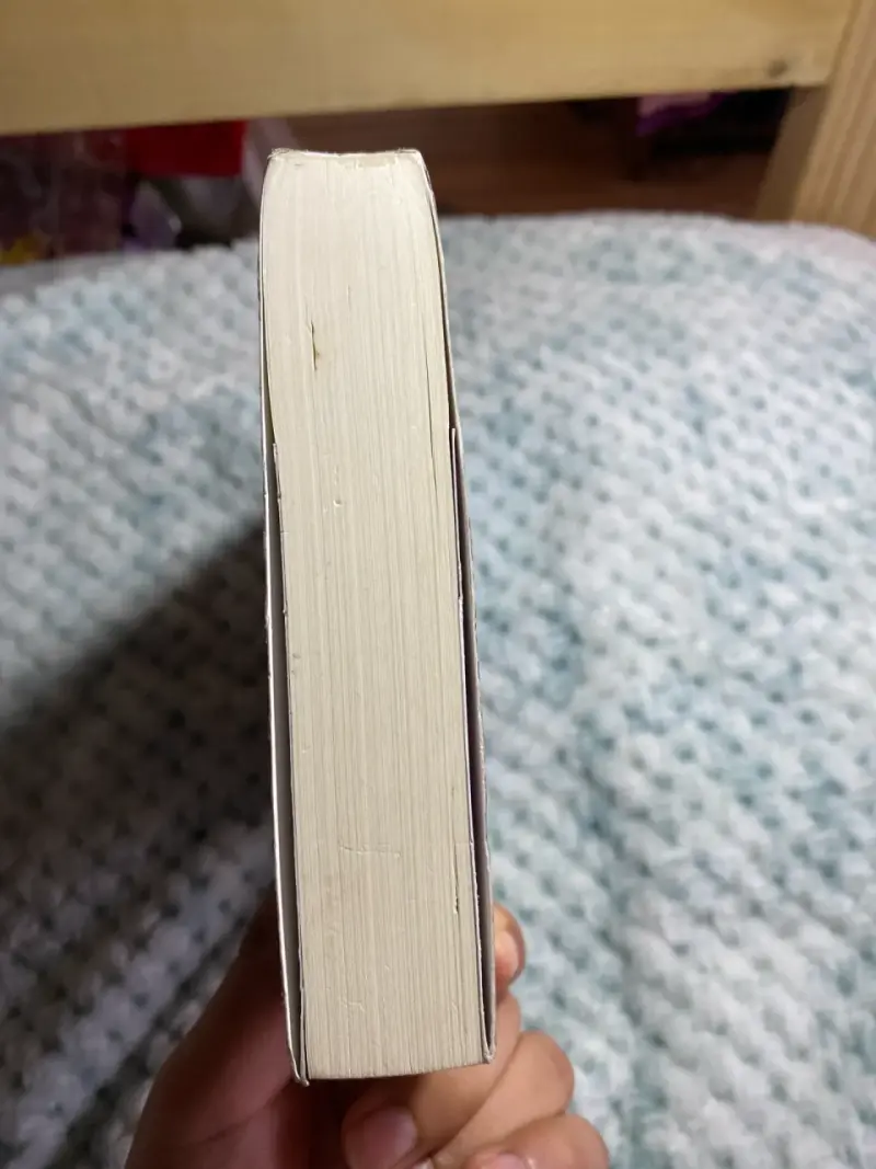 Libro 'Asesino de Brujas: La Bruja Blanca' - 5