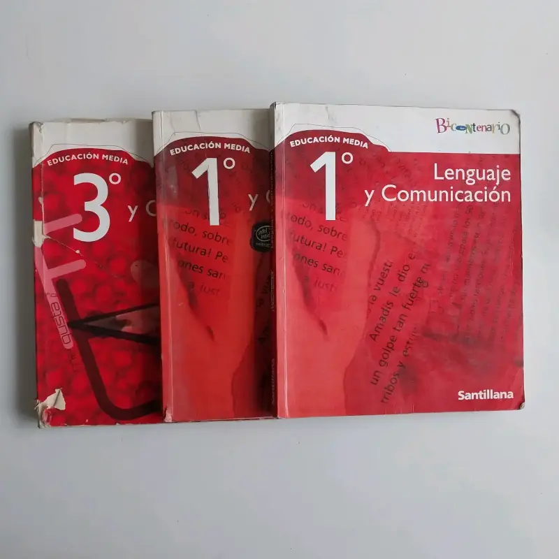 Libros Educación Media Lenguaje - 1