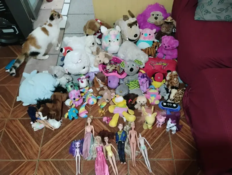 Lote de peluches variados - 1