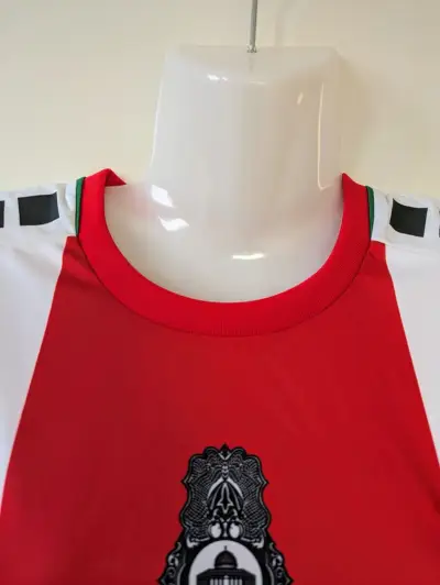 Camiseta Fútbol Palestino - miniatura 3