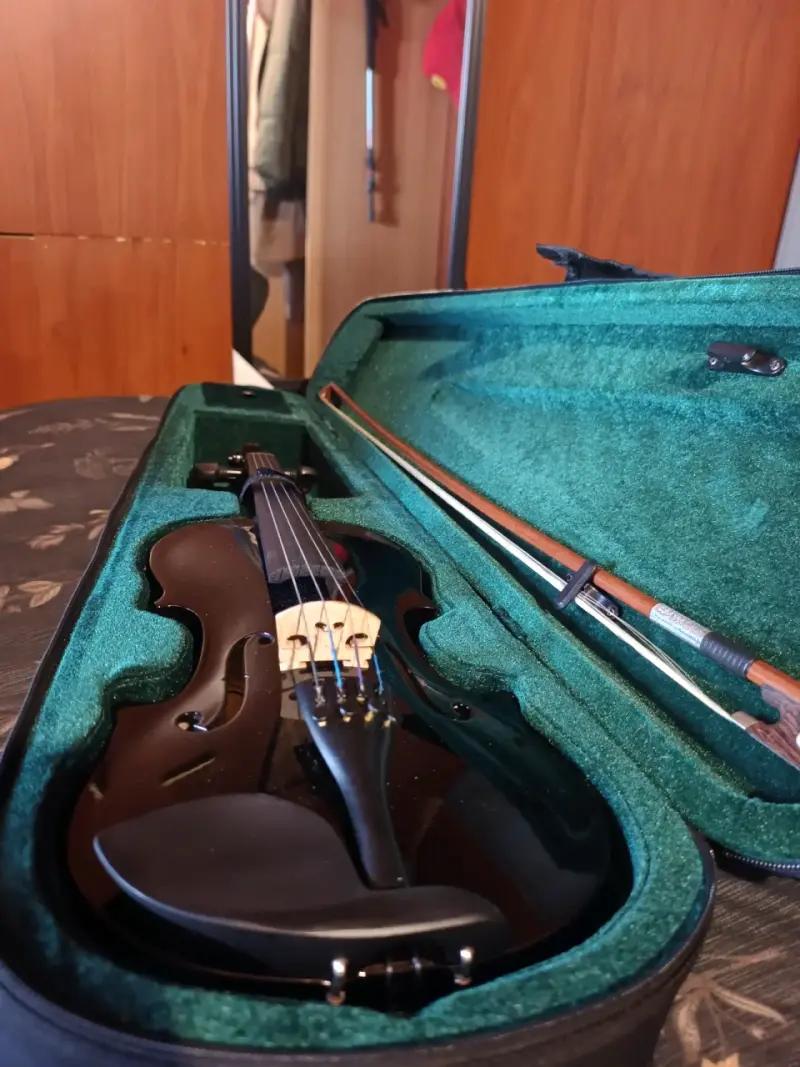 Violín negro con estuche - 1