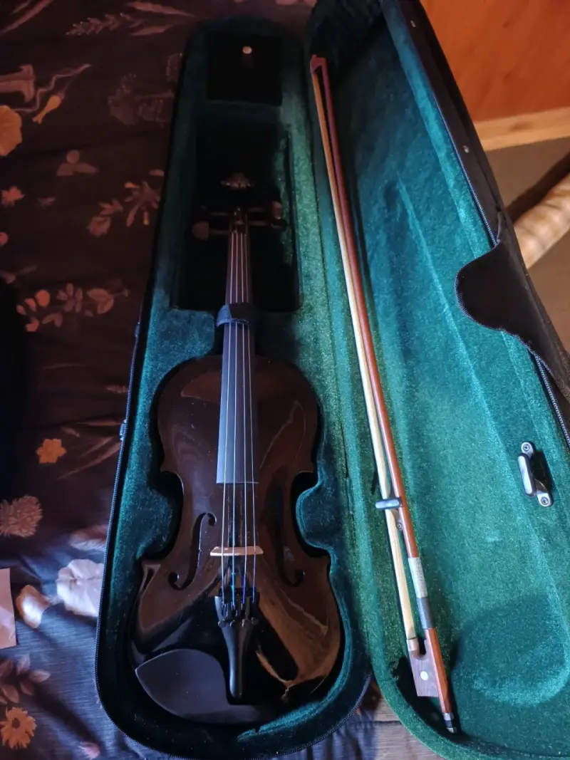 Violín negro con estuche - 2