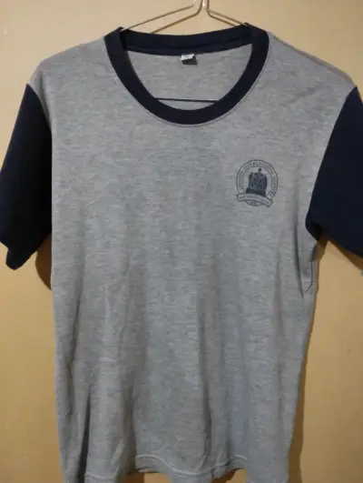 Polera gris con mangas azul marino - miniatura 1
