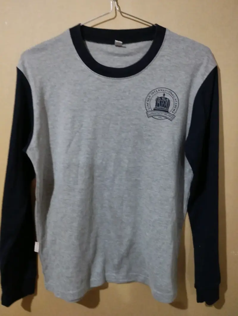 Polera gris de mangas largas - 1