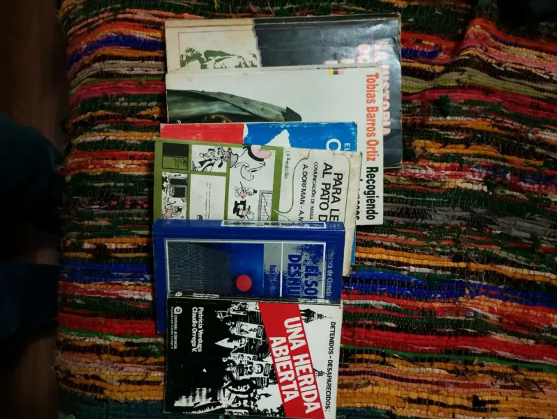 Lote de libros variados - 1