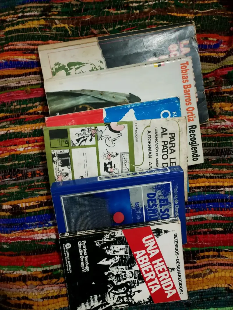 Lote de libros variados - 2