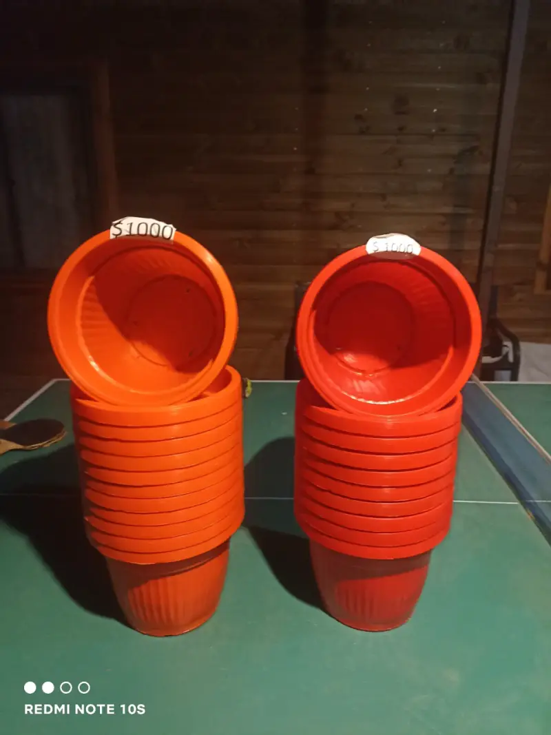 Maceteros plasticos 23 centimetros - 3