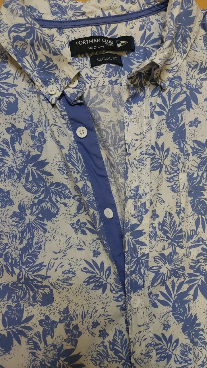 Camisa estampada azul y blanco - 2