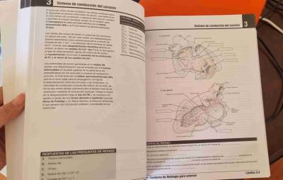 Netter Cuaderno de Fisiología para colorear - miniatura 3