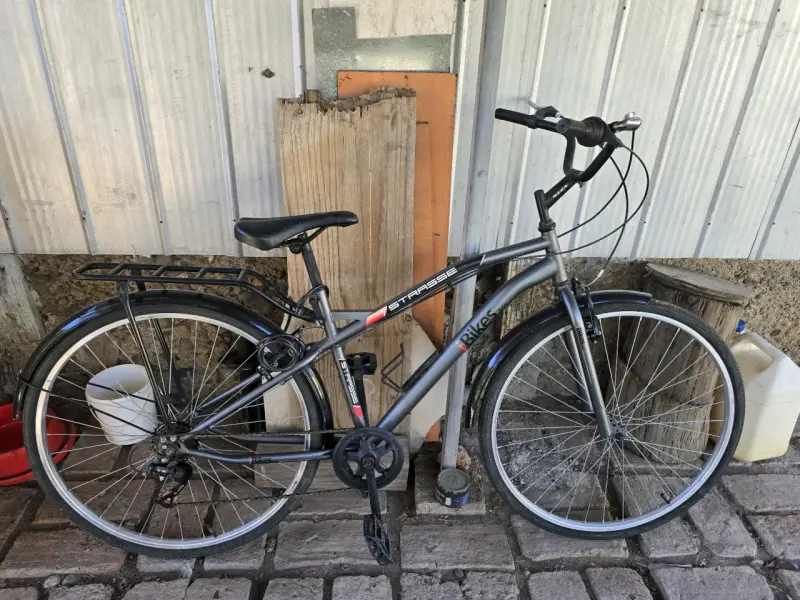 Bicicleta paseo - 1