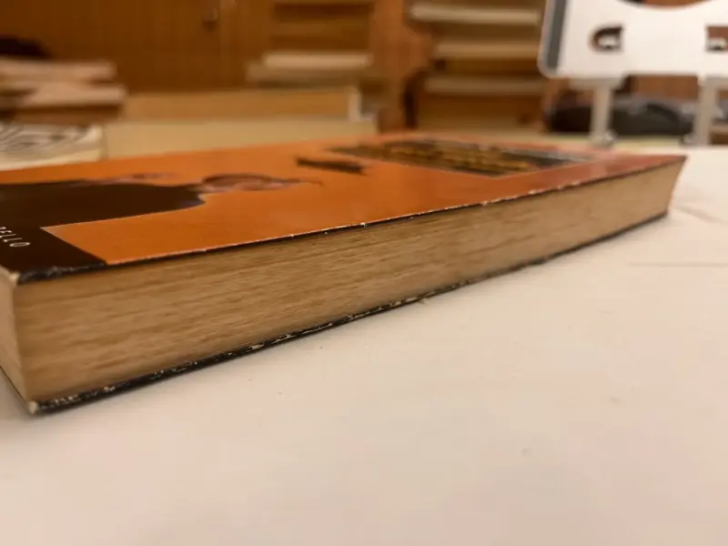 Sentir lo que Sucede - Antonio Damasio - 3