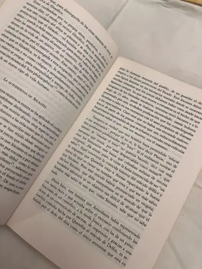 El Expediente de Sócrates de Gastón Gómez Lasa - miniatura 4