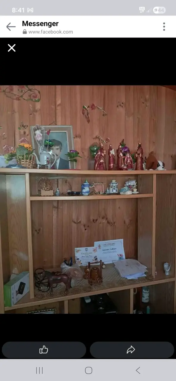 Estante de madera