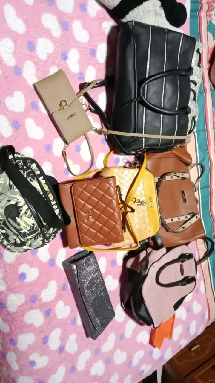 Lote de carteras variadas