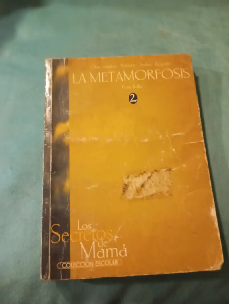 La Metamorfosis - Franz Kafka (Colección Escolar L - 1