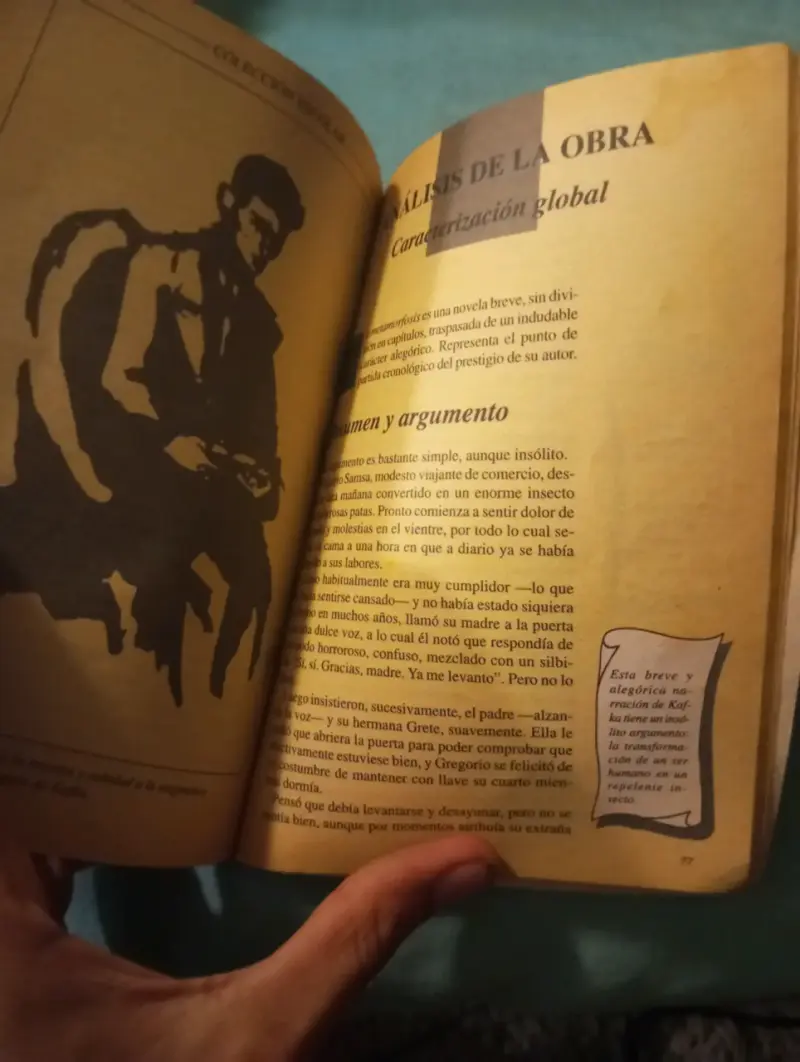 La Metamorfosis - Franz Kafka (Colección Escolar L - 3