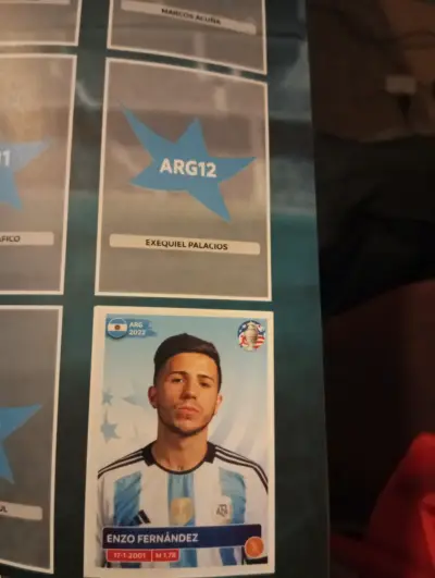 Pack Panini: Álbum Copa América 2024 + 22 Tarjetas - miniatura 3