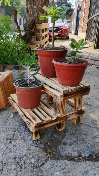 Bandejas rústicas de madera - miniatura 2