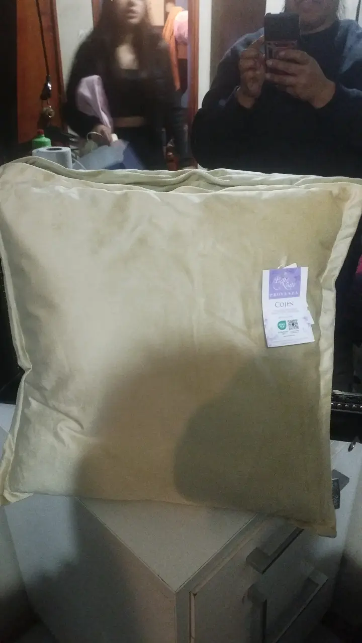 Cojín beige suave