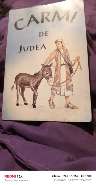Libro 'Carmi de Judea' - miniatura 1