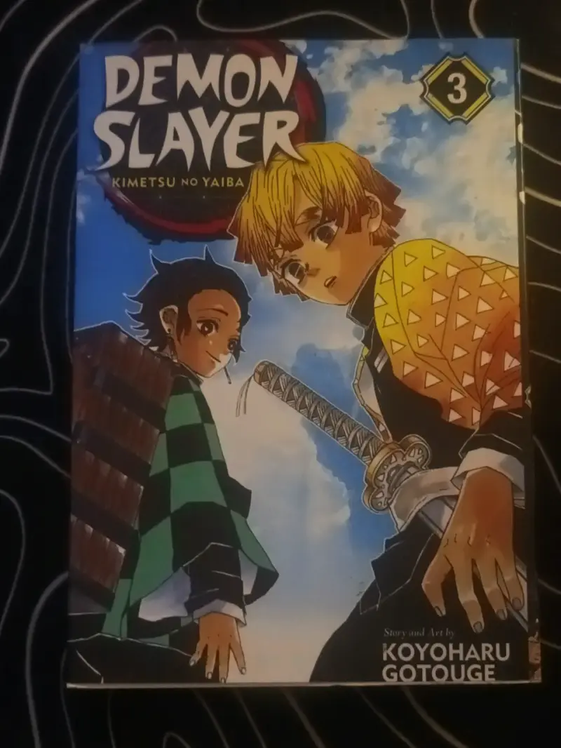 Manga Kimetsu no Yaiba (Demon Slayer) Volumen 1-6 - 3