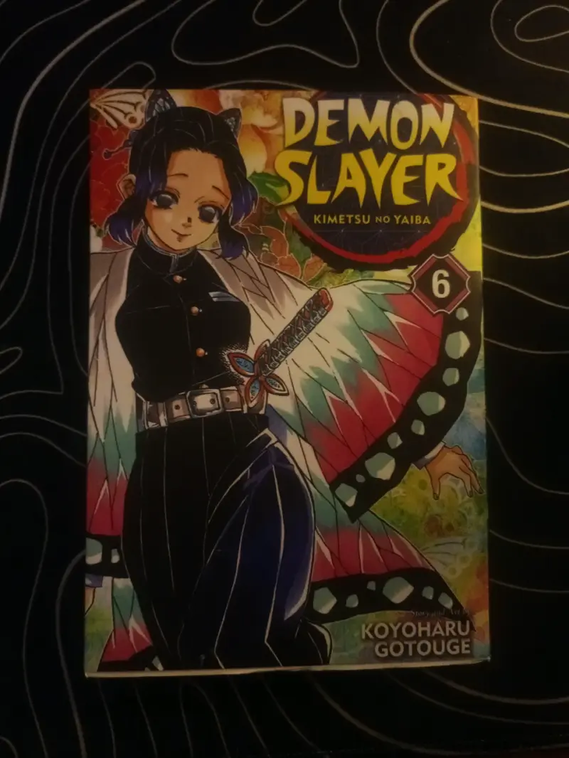 Manga Kimetsu no Yaiba (Demon Slayer) Volumen 1-6 - 6