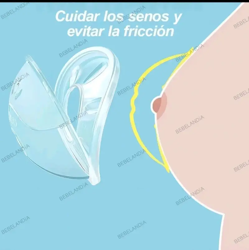 Amapola recolectora de leche - 2