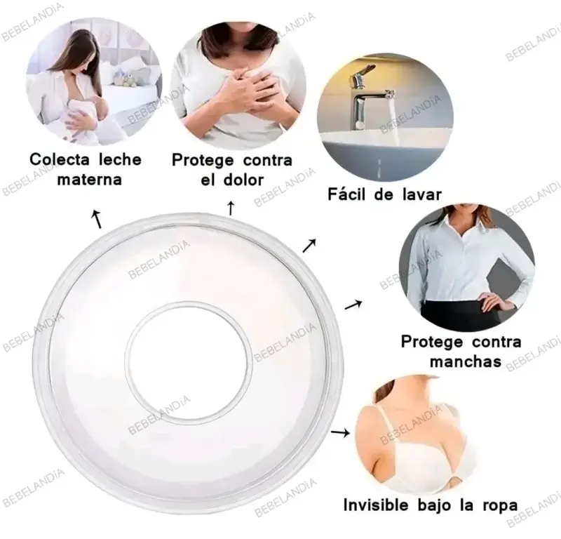 Amapola recolectora de leche - 4