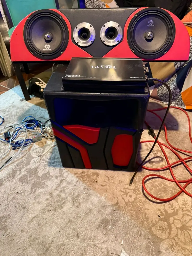 Sistema de audio con amplificador Tasbel - 2