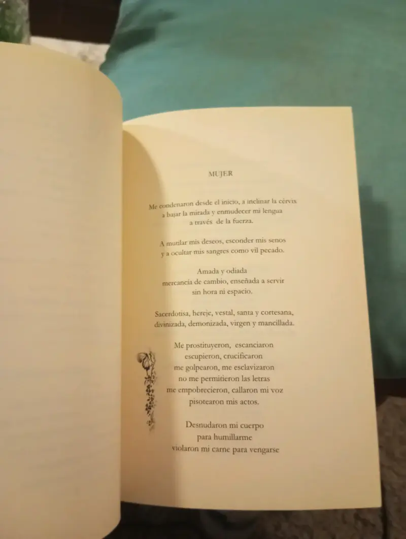 Libro Poesía Reversible Espejo De Sombras / Luces - 3