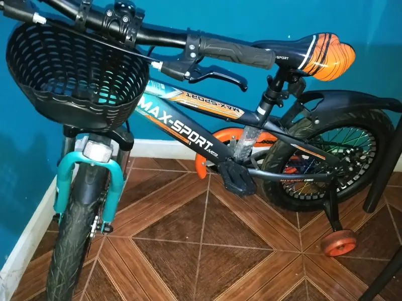 Bicicleta infantil Max-Sport - 2