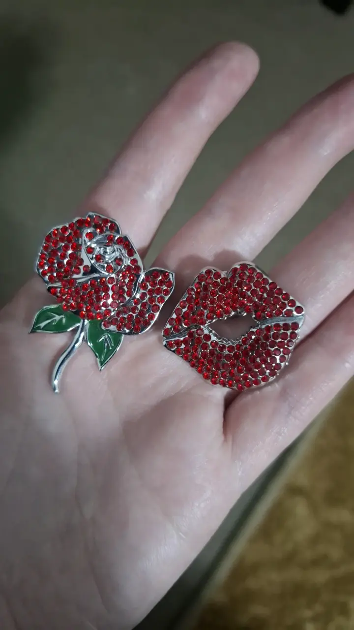 Pins Broches de rosa y labios brillantes - 1