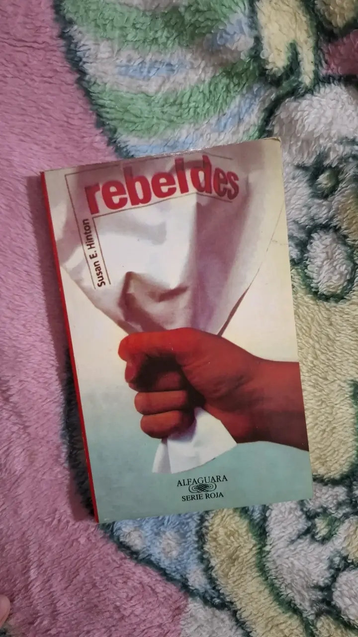 Libro Rebeldes de Hinton