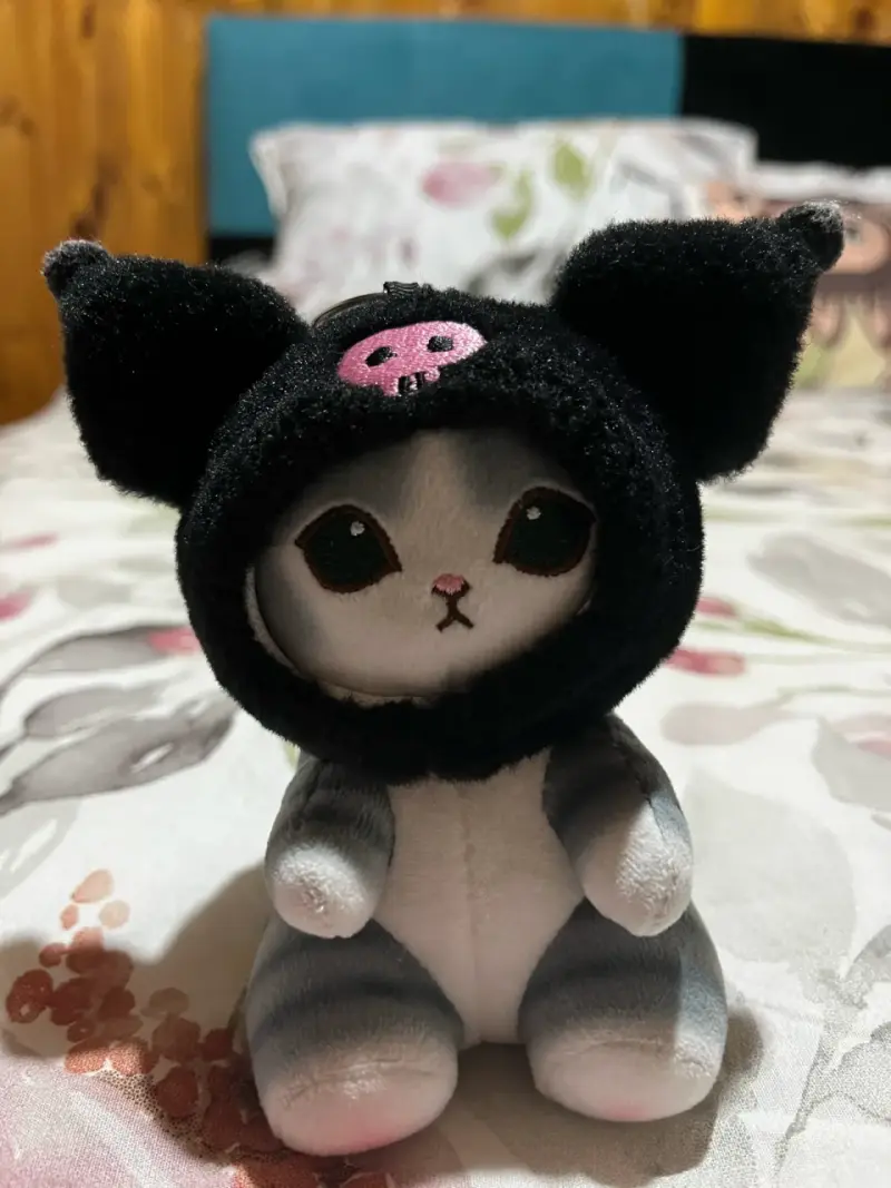 Cositas de sanrio - 1