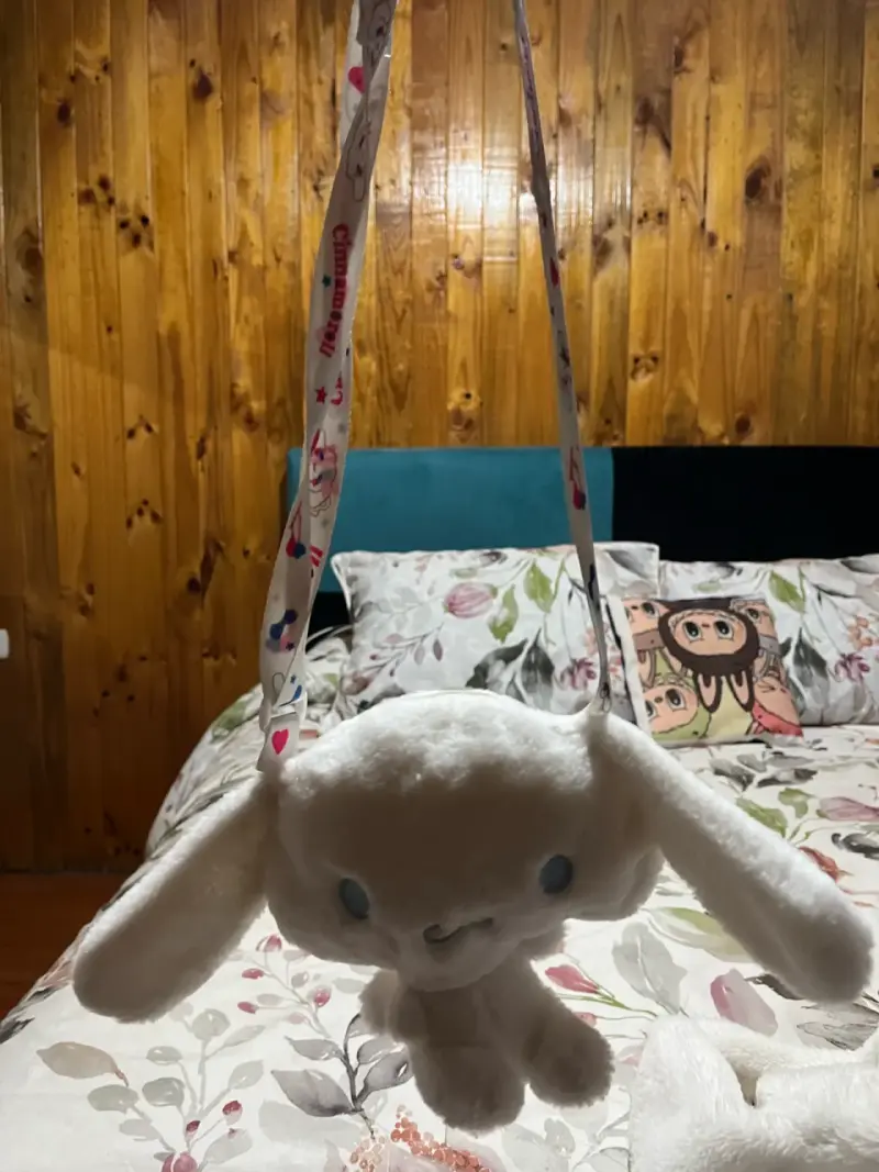 Cositas de sanrio - 4