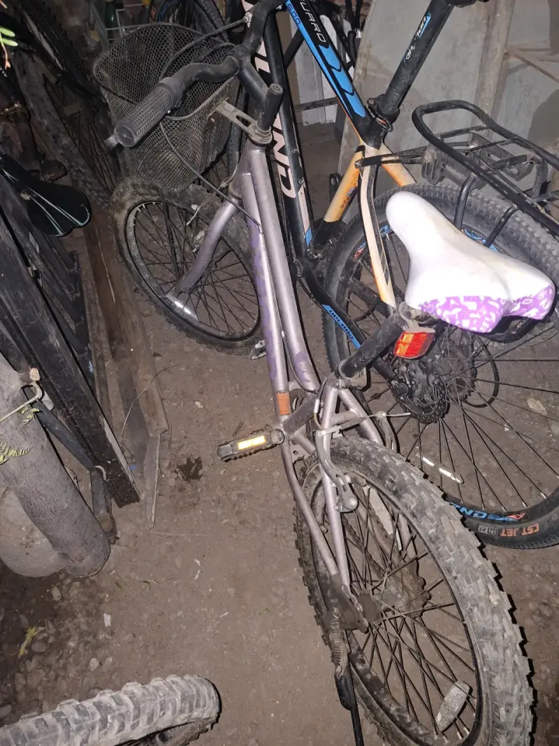 Bicicleta infantil morada - 2