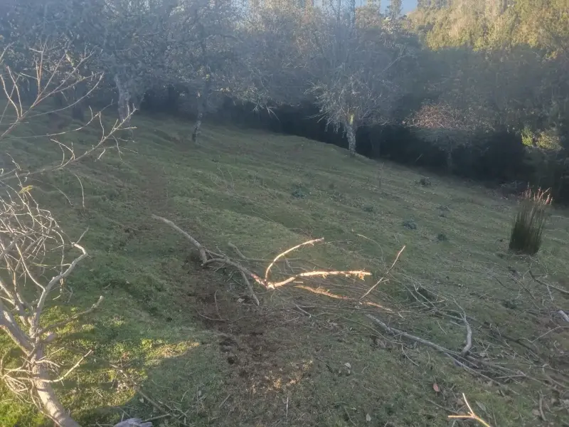 terreno en venta de 1 22 ha isla de Chiloé - 1