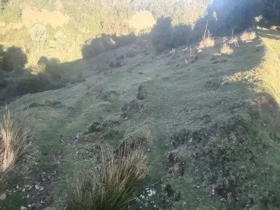 terreno en venta de 1 22 ha isla de Chiloé - miniatura 2
