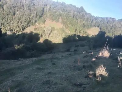 terreno en venta de 1 22 ha isla de Chiloé - miniatura 3