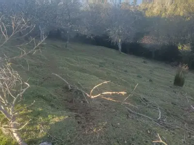 terreno en venta de 1,22 ha isla de Chiloé - miniatura 1