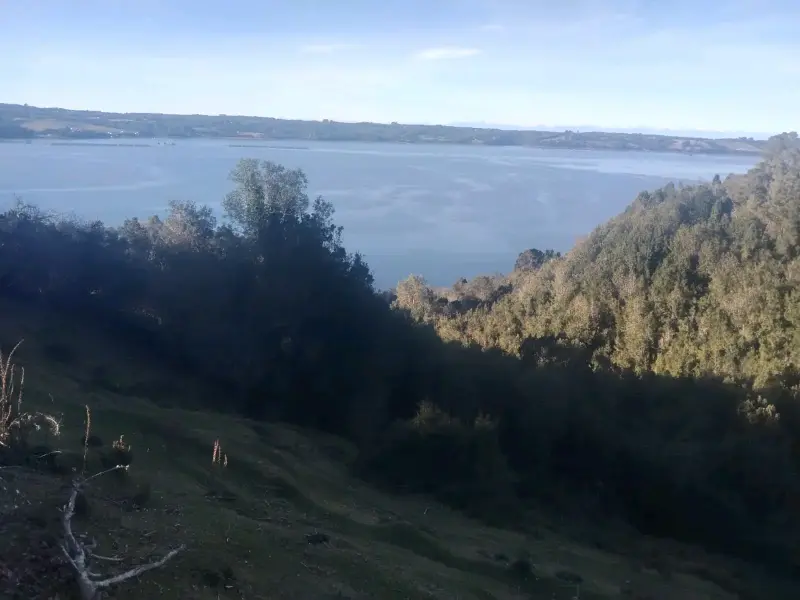 terreno en venta de 1,22 ha isla de Chiloé - 5