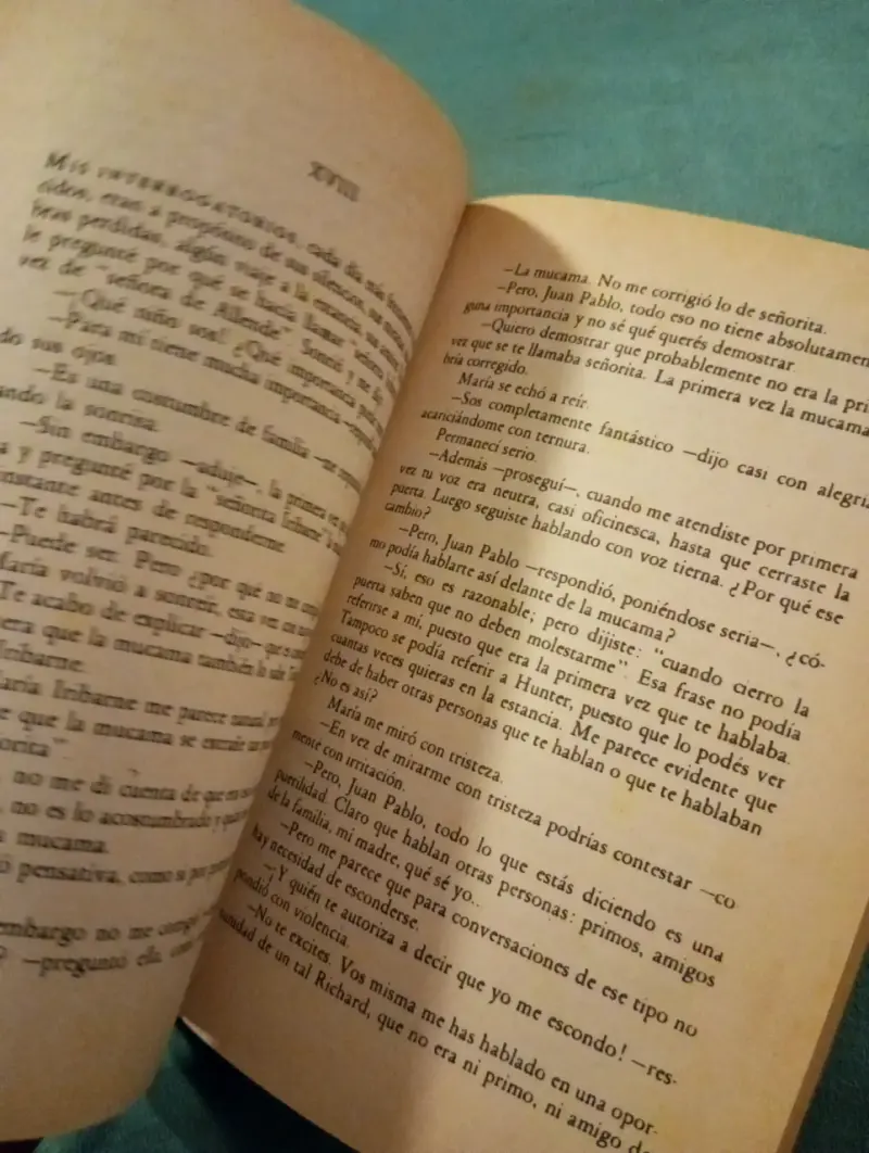 Libro El Túnel - Ernesto Sabato (Clásico Literatur - 2