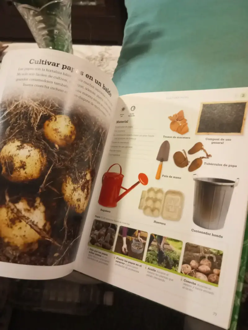 Libro Cultivo De Frutas Y Hortalizas - DK / Contra - 3