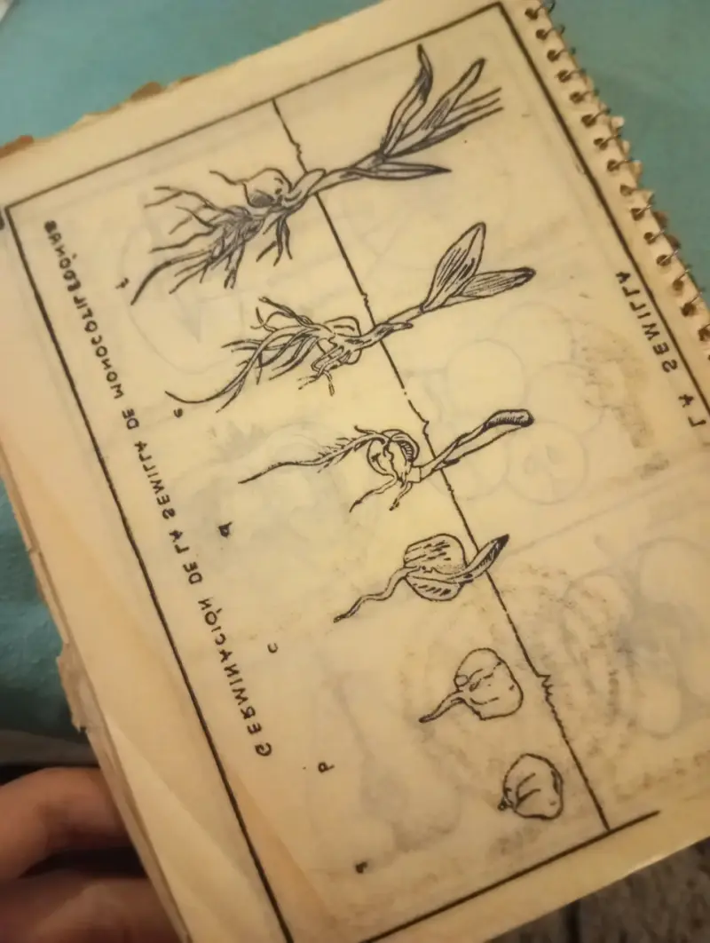 Antiguo Libro Sexta Preparatoria Autodidac (1965) - 3