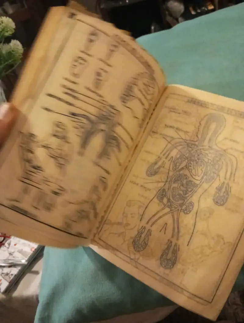 Antiguo Libro Sexta Preparatoria Autodidac (1965) - 4