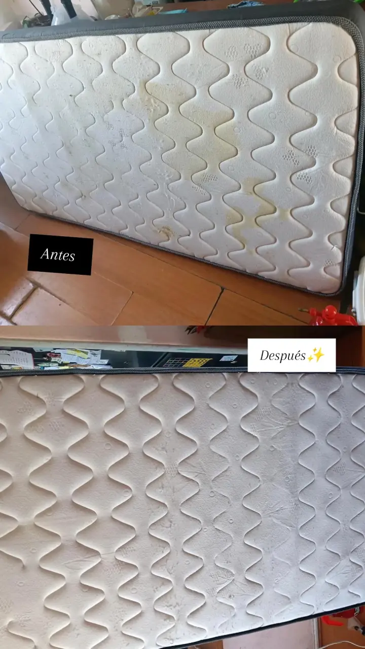 Limpieza de tapiceria - 1