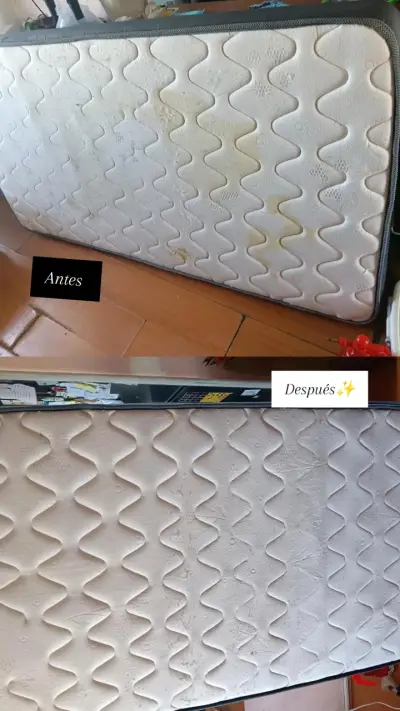 Limpieza de tapiceria - miniatura 1