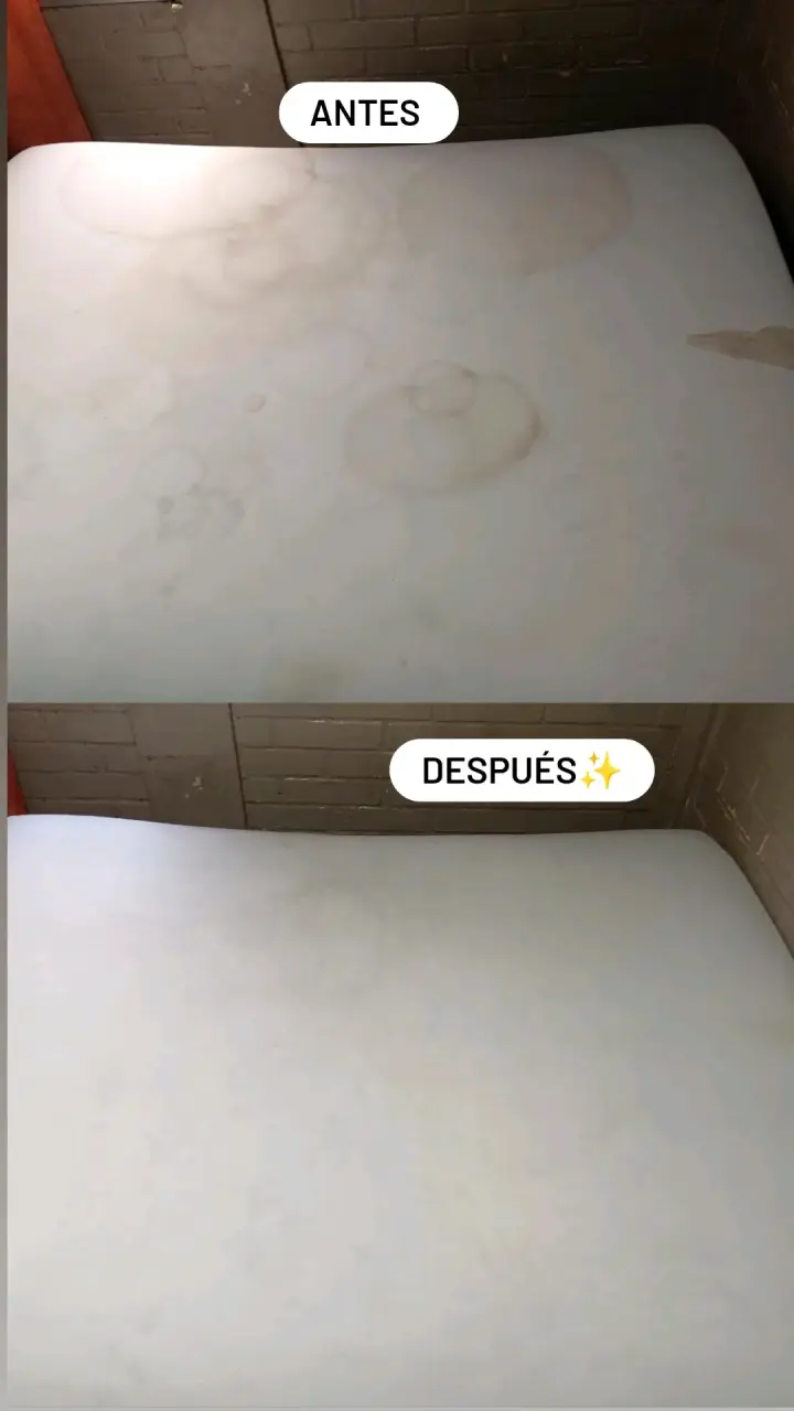 Limpieza de tapiceria - 3