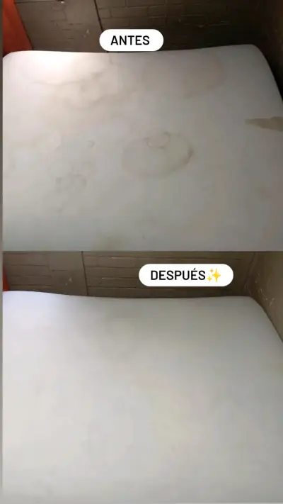 Limpieza de tapiceria - miniatura 3