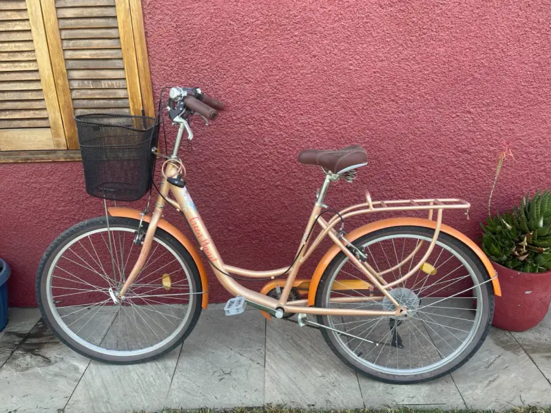 Bicicleta urbana con canasto metálico - 1